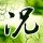 加勒比海盗